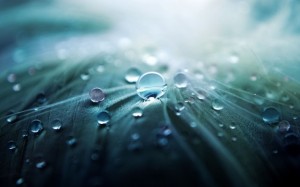 Water-Drops-Macro-575x359